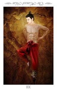 타로카드